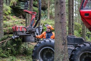 Harvester im Einsatz