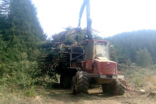 Mit Reisig beladener Forwarder Komatsu 840TX