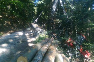 Komatsu 840TX im Wald.