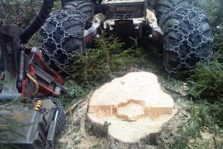 Komatsu 931 hinter einem Baumstumpf.