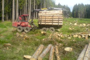 Mit Baumstämmen beladener Forwarder Valmet 8303