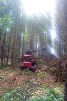 Forwarder Valmet 8303 bei Arbeiten im Wald.