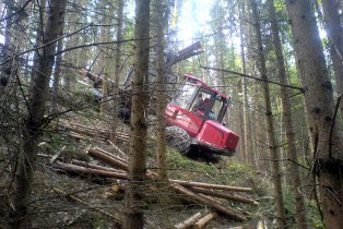 Forwarder Valmet 8303 bei Ausfuhrarbeiten im Wald.