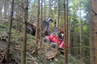 Forwarder Valmet 8303 bei Ausfuhrarbeiten im Wald.