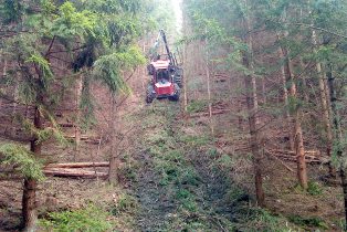 Forwarder Valmet 8303 in Hanglage.